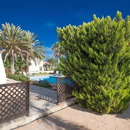 Joely Aq Jo78 * Paralimni